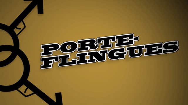 Les Porte-flingues (Séries)